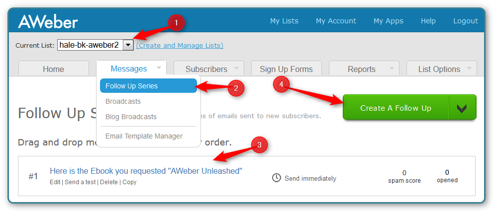 Email Template - Start with Follow Up Editor