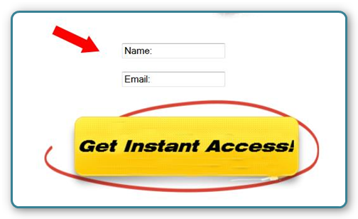 WordPress and AWeber - Squeeze Page Form Looks Wrong